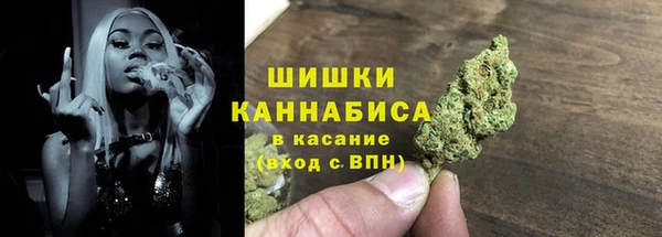 тгк Гусь-Хрустальный