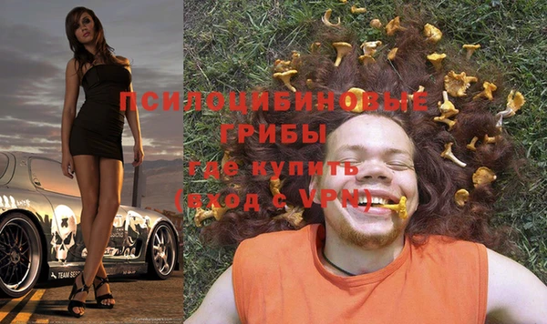 тгк Гусь-Хрустальный