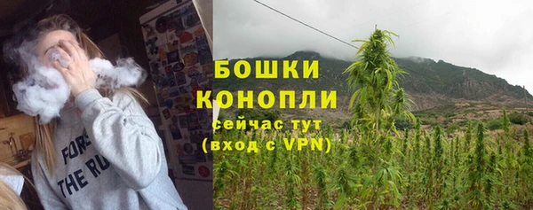 тгк Гусь-Хрустальный