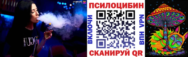 Купить закладки  Петров Вал  Псилоцибиновые грибы мухоморы 